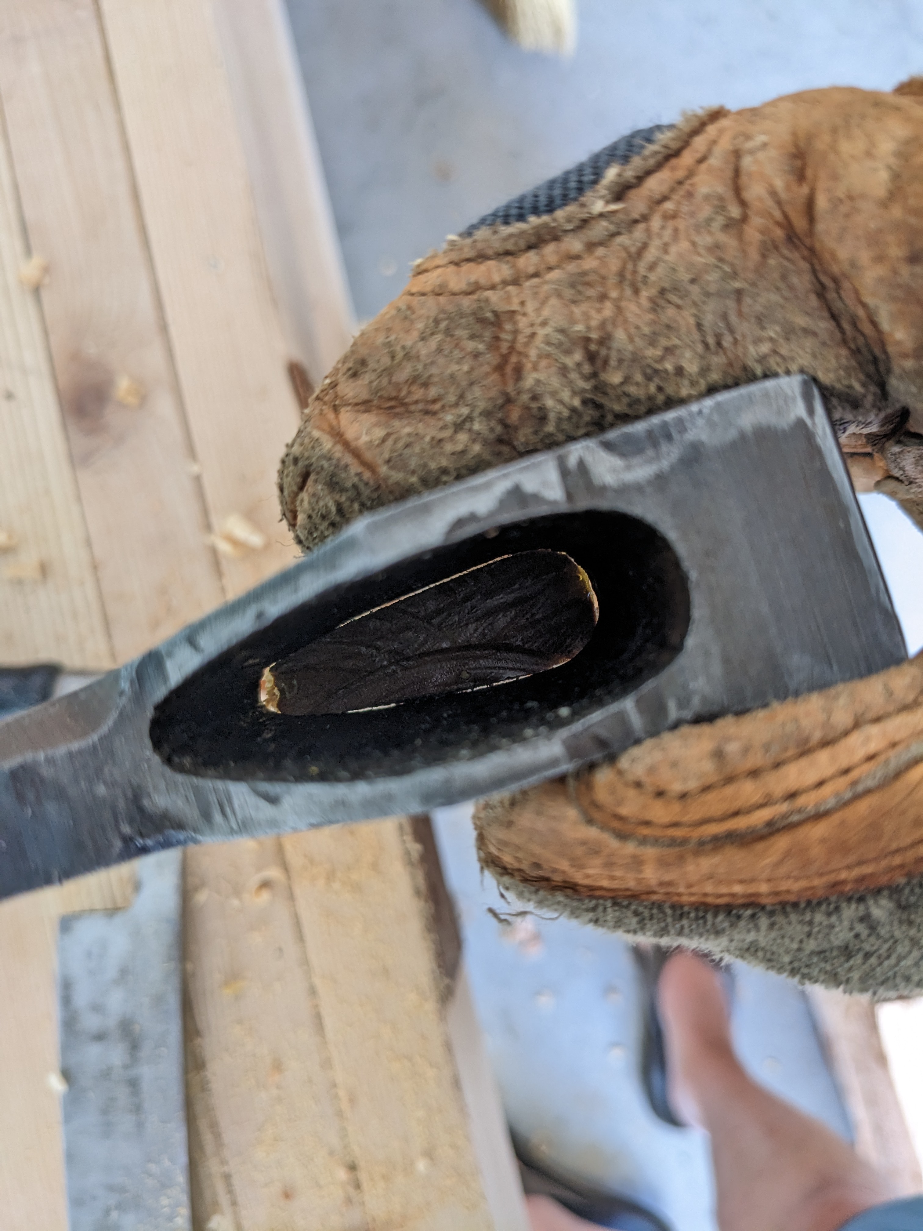 Axe Handle photo 3.